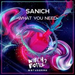 SANICH - What You Need (Extended Mix)