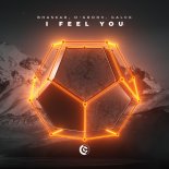 Bhaskar, D-Groov, Galck - I Feel You (Extended Mix)