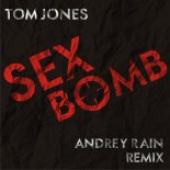Tom Jones - Sexbomb (Andrey Rain Remix)