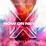 WildVibes & Neyra - Now Or Never (Extended Mix)