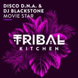 Disco D.N.A. & DJ.Blackstone - Movie Star (Radio Edit)