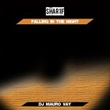 $harif - Falling in the Night (Dj Mauro Vay Radio Mix)