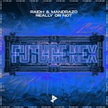 RAIDH & Mandrazo - Really Or Not (Extended Mix)