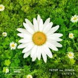 Yetep Feat. Olmos - Daisies