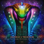 Astrix & Tristan - Awake the Snake (Volcano on Mars Remix)