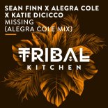 Sean Finn x Alegra Cole x Katie DiCicco - Missing (Alegra Cole Mix)