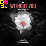 Avicii feat. Sandro Cavazza - Without You (Ayur Tsyrenov DFM Remix)
