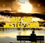 Maxel - Już nie jesteś sam (FreddyBlue Remix) [2022]