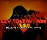 Ania Wyszkoni - Czy ten pan i pani (Melgro & FreddyBlue Bootleg)