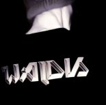 Waldis & Sarusia55 & Sound Bass - W Stegnie na plaży (4FUN Mix)