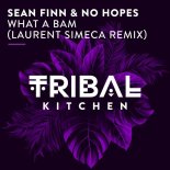 Sean Finn & No Hopes - What a Bam (Laurent Simeca Remix)