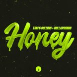 Tom & Collins & Hollaphonic - Honey (Extended Mix)