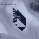Darksidevinyl & Ucha - Moonshine (Original Mix)