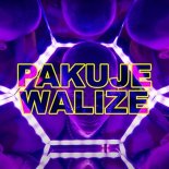 Dawid, Artysta - PAKUJE WALIZE (Radio Mix)