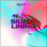 liquidfive - Silver Lining (Club Edit)