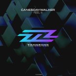 Cane&Daywalker - Feel It (Original Mix)
