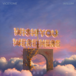 Vicetone - Wish You Were Here 2022 (English Version)