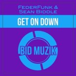 FederFunk & Sean Biddle - Get on Down (Original Mix)