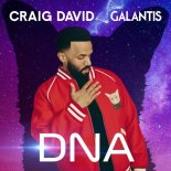 Craig David feat. Galantis - Dna (Radio Edit)
