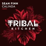Sean Finn - Calinda (Original Mix)