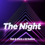 Rob & Chris Feat. DJ Gollum - The Night (Extended Mix)