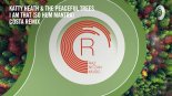 Katty Heath & The Peaceful Trees - I Am That (So Hum Mantra) (Costa Remix) [RNM] Extended