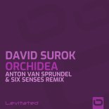 David Surok - Orchidea (Anton van Sprundel & Six Senses Extended Remix)
