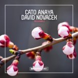 Cato Anaya, David Novacek - Aguanile (Extended Mix)
