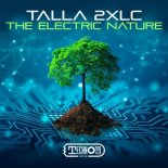 Talla 2XLC - The Electric Nature (Extended Mix)