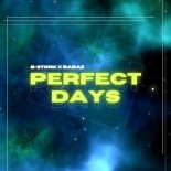 B-Stork, Babaz - Perfect Days (Radio Mix)