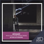 Röyksopp - What Else Is There (ARTBAT Remix) (AFTERCLAP REWORK)
