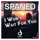 Spaneo - I Won't Wait For You (Extended Mix)