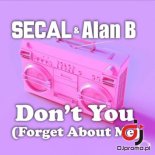 SECAL & ALAN B - Don t You (Forget About Me) (Radio Edit)