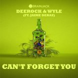 Deerock & Wyle Feat. Jaime Deraz - Cant forget you