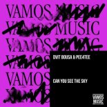 Dvit Bousa, Pee4Tee - Can You See the Sky (Extended Mix)