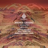 Andrea Cassino - Lamarr (Paul Hamilton Remix)