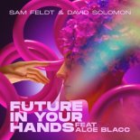 Sam Feldt & David Solomon feat. Aloe Blacc - Future In Your Hands (Radio Edit)