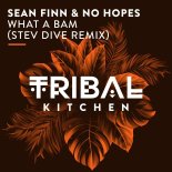 Sean Finn - What a Bam (Stev Dive Remix)