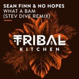 Sean Finn & No Hopes - What a Bam (Stev Dive Radio Edit)