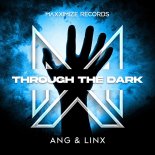 ANG x LinX - Through The Dark (Extended Mix)