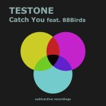 Testone Feat. 88Birds - Catch You (Edit)