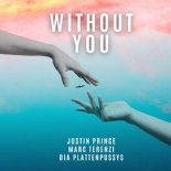 MARC TERENZI x JUSTIN PRINCE x DIA-PLATTENPUSSYS - Without You (Radio Edit)