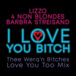 Lizzo Ft. 4 Non Blondes & Barbra Streisand - I Love You B!TCH (Thee Werq'n B!tches Love You Too Mix)