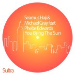 Seamus Haji & Michael Gray & Phebe Edwards - You Bring The Sun