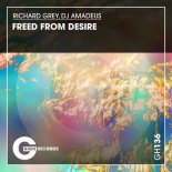 Richard Grey, DJ Amadeus - Freed from Desire (Original Mix)