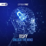 TESFY - Unlock The Mind