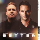 Sam Feld faet. Gavin James - Better (Radio Edit)