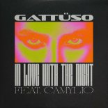 Gattuso Feat. Camylio - In Love With The Night