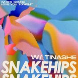 Snakehips with Tinashe - Who's Gonna Love You Tonight