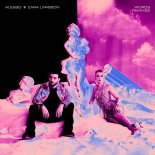 Alesso & Zara Larsson - Words (Arodes Remix)